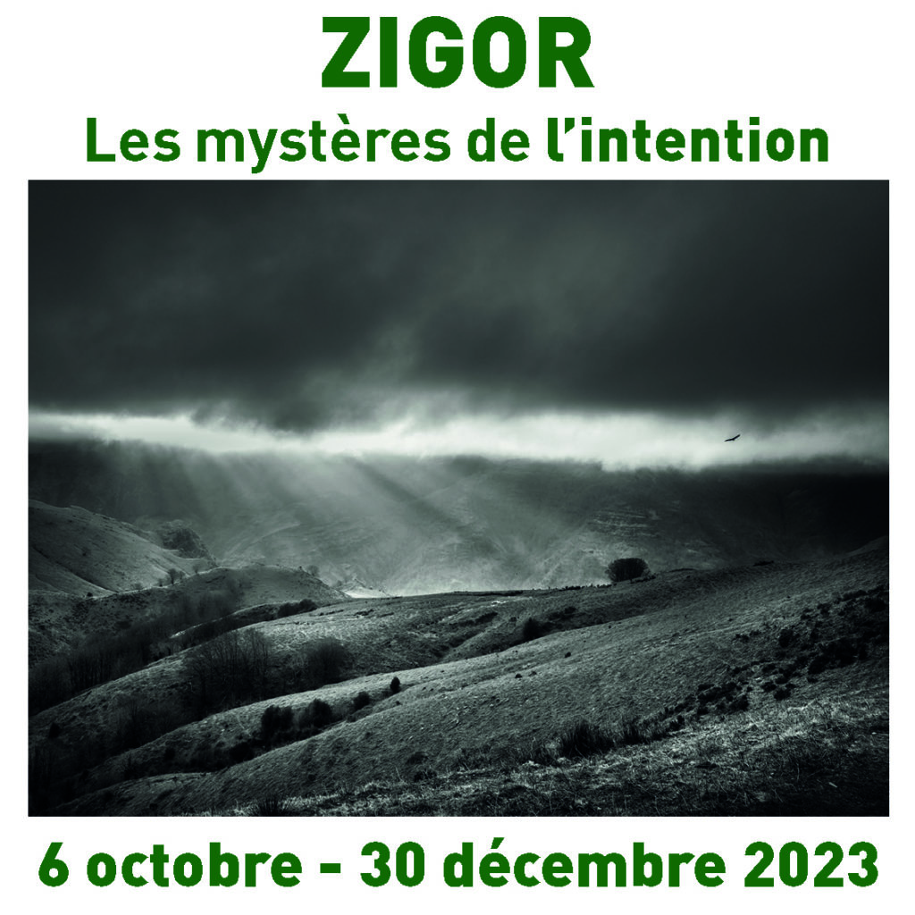 ZIGOR – Le mystère de l’intention