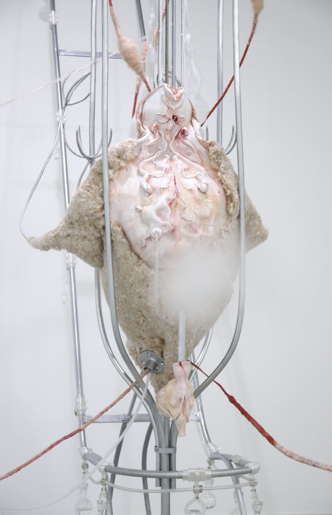 Exposition Interférences d’Anaïs Gauthier